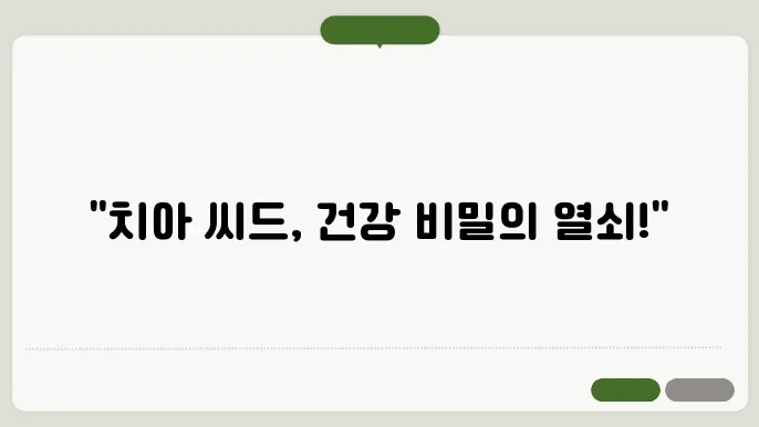 치아 씨드의 오메가-3와 식이섬유 함량