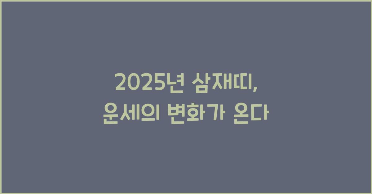 2025년 삼재띠