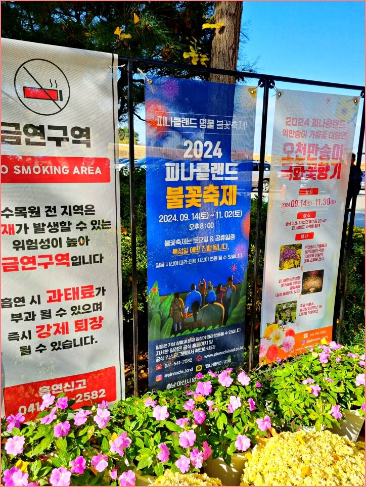피나클랜드