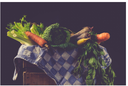 건강생활 실천지원금제 신청방법