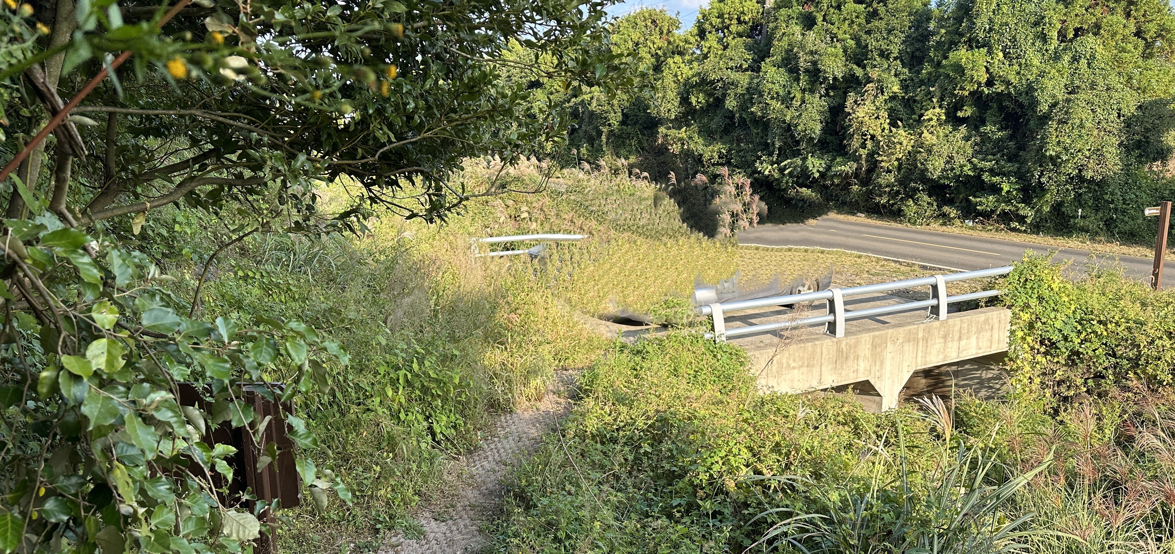 송당곶자왈 나가는길