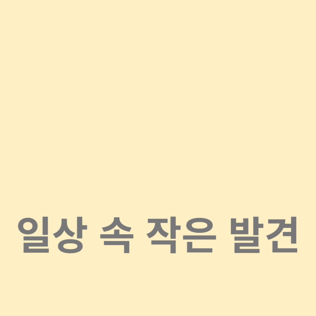 일상 속 작은 발견