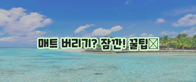 요가 매트 분리수거 알뜰하게 하는 방법, 꼭 알아두세요!