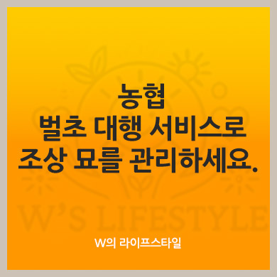 농협 벌초 대행 서비스로 조상 묘를 관리하세요.