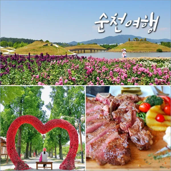 순천 여행코스 추천 순천만습지와 근처 맛집 일정 정리_8