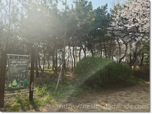 영종도 둘레길 1코스 건강백년길 주차장