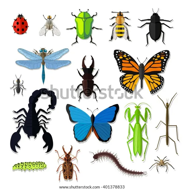 곤충 종류와 특징 생김새 습성 먹이 요약 정리_1