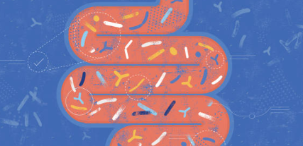 프로바이오틱스