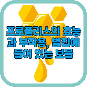 프로폴리스의 효능과 부작용&#44; 벌집에 들어 있는 보물