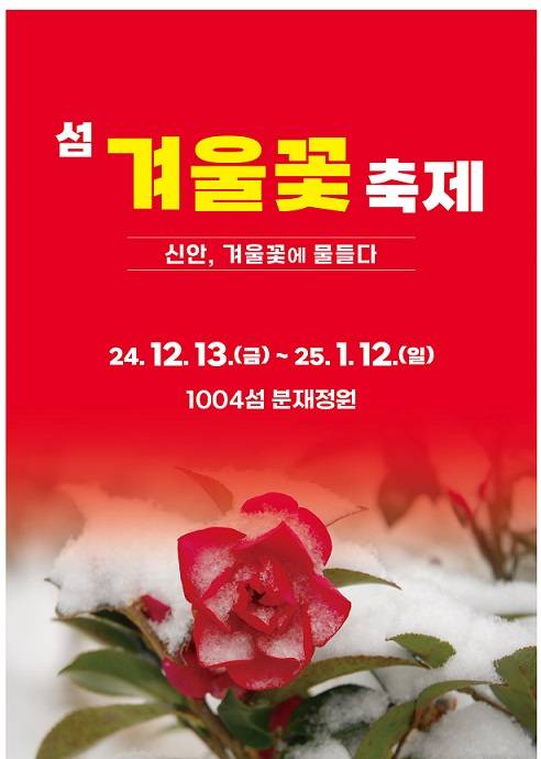 신안 섬 겨울꽃 축제
