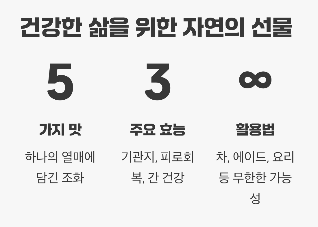 건강한 삶을 위한 자연의 선물