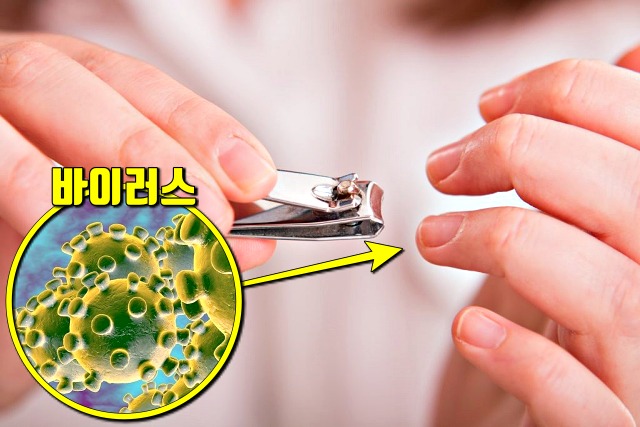 코로나 예방수칙 거리두기,손톱깎기