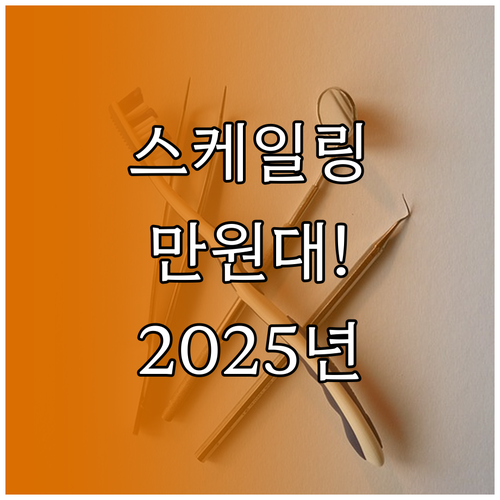 치아 스케일링 건강보험 2025년 연..