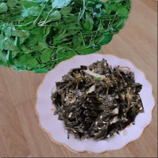 질경이 나물 먹는 법과 주의점, 질경이나물 무침