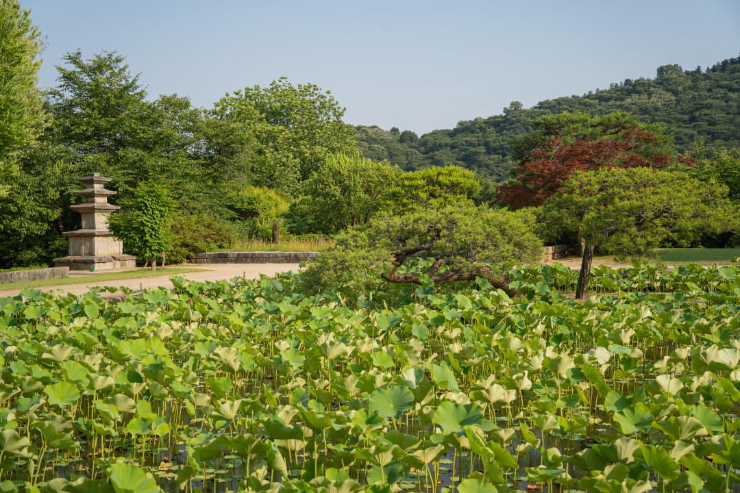 호암 미술관 주정