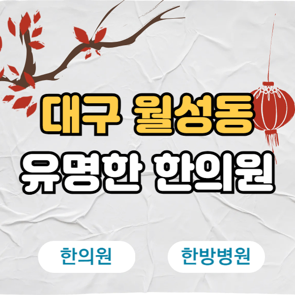 대구 달서구 월성동 한의원 추천 TOP5 양심 한의원 유명한 곳