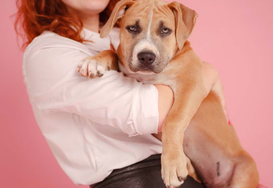 개의 성격이 주인에게 없는 경우도 있다.
