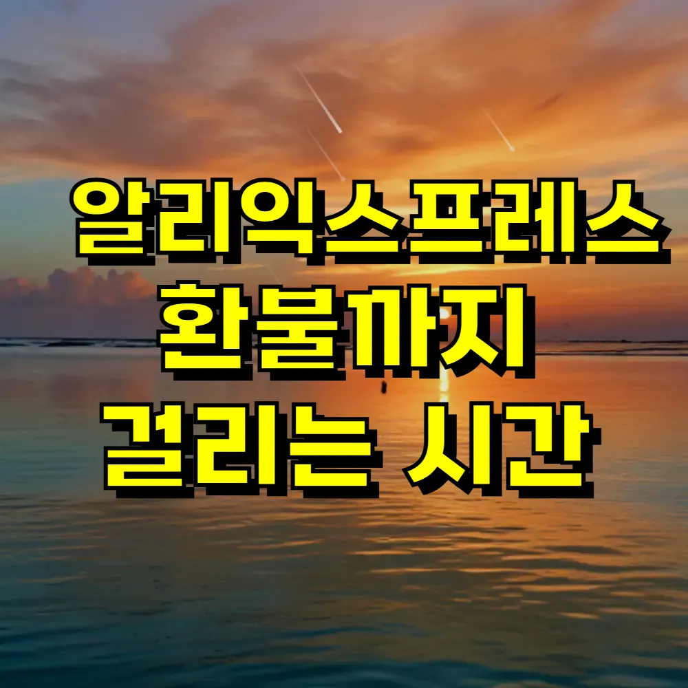 알리익스프레스 환불까지 걸리는 시간