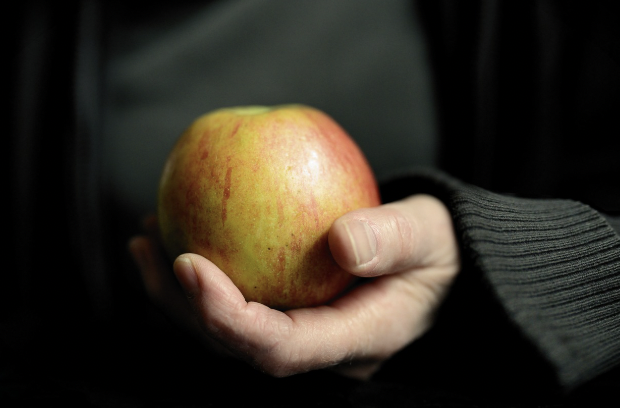 직업적인 사과 대행인 – 대신 사과해드립니다