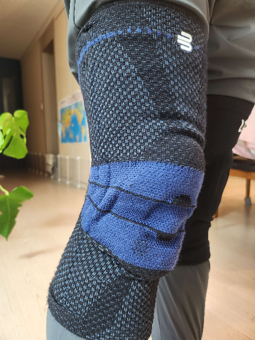 바우어파인트 추천