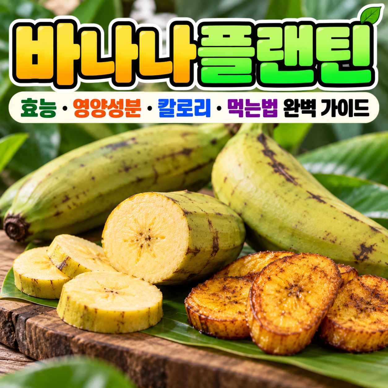 바나나플랜틴 효능