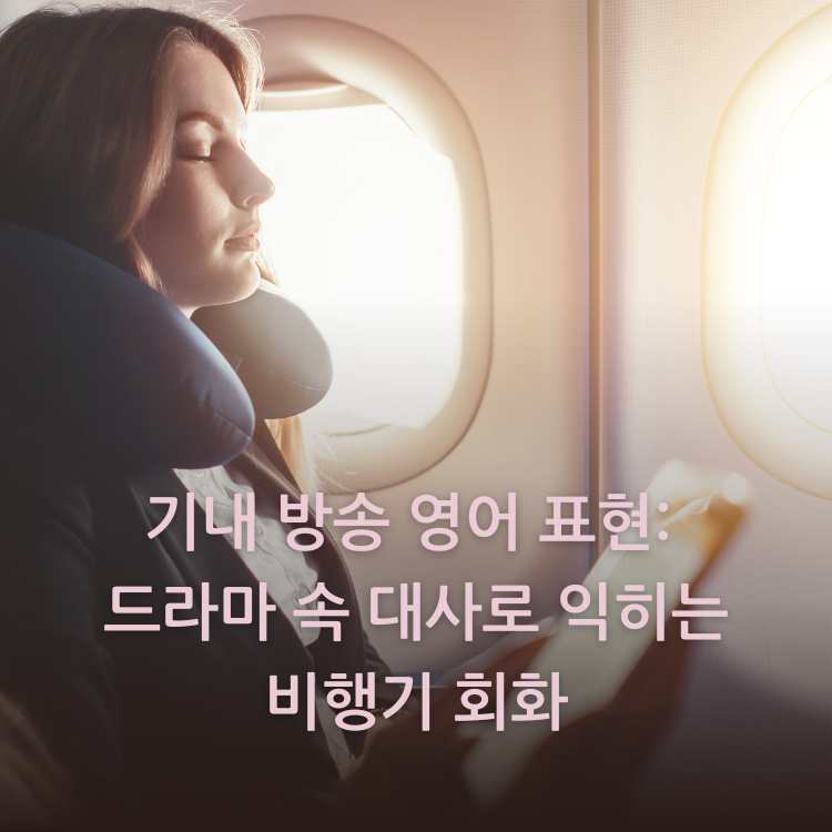 비행기-좌석에-앉아-있는-여자-승객