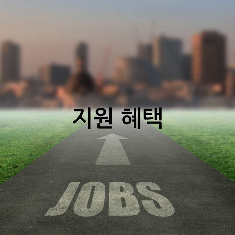 청년일자리도약장려금