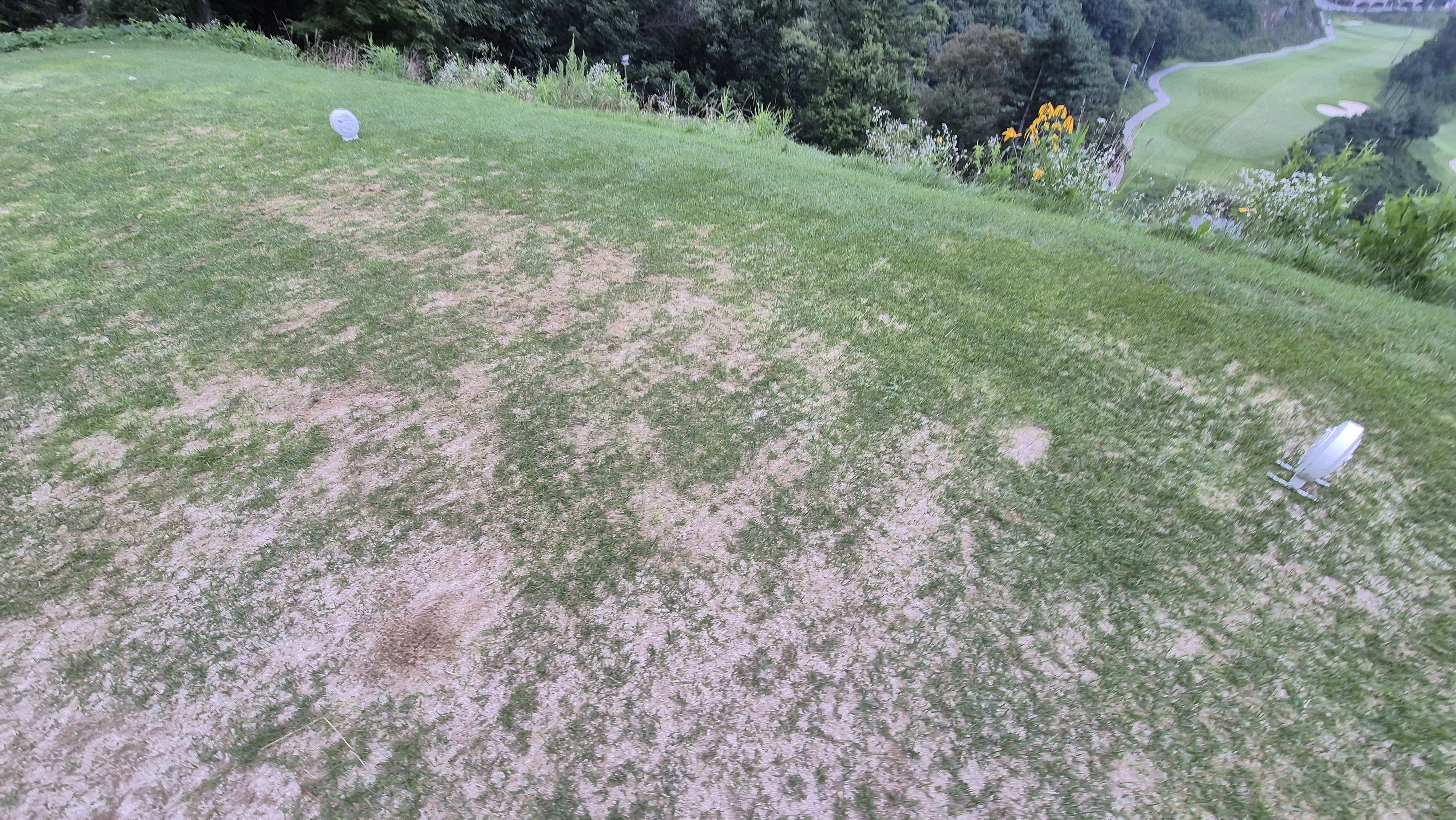 참밸리cc 라운드 후기