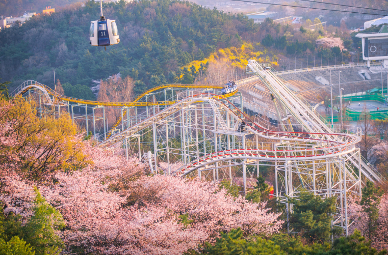 이월드 블라썸 피크닉1