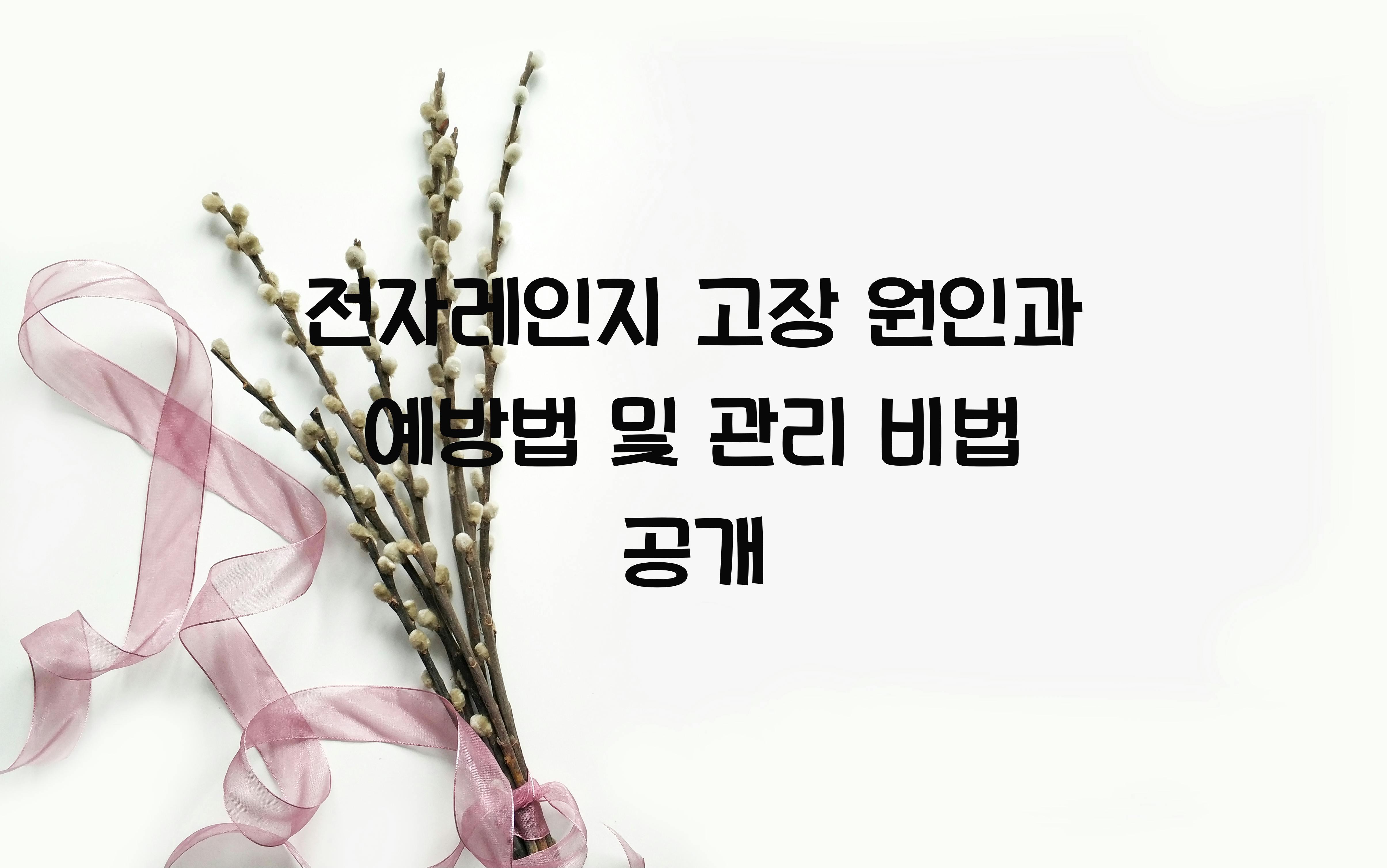 전자레인지 고장 원인과 예방법