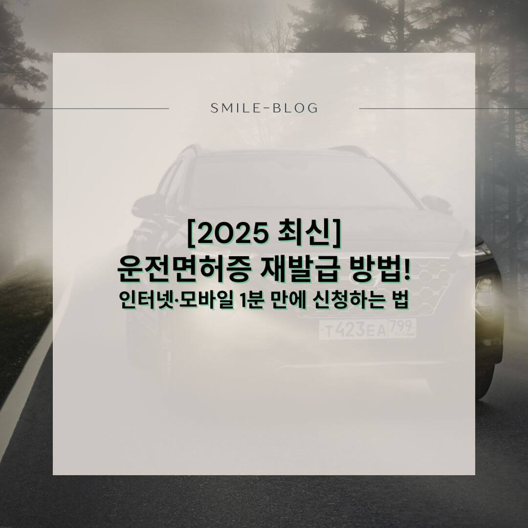 [2025 최신] 운전면허증 재발급 방법!