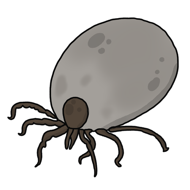 강아지 진드기 물렸을 때