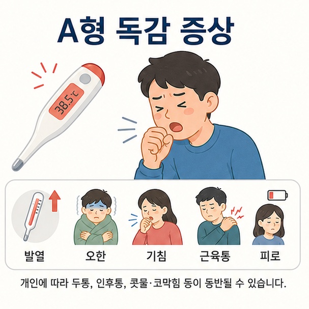 A형 독감에서 나타날 수 있는 발열과 오한, 기침, 근육통, 두통과 심한 피로감 등 주요 증상을 설명한 이미지