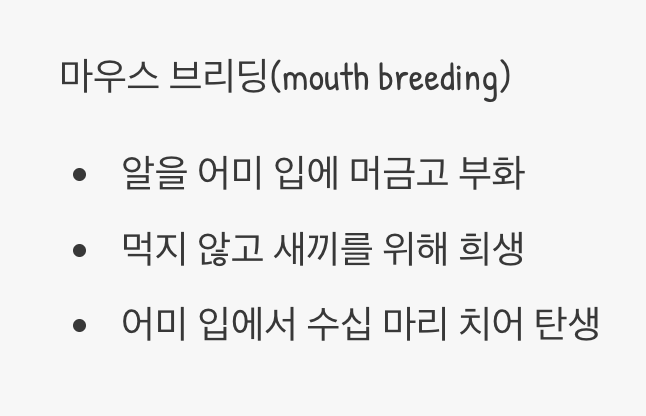 경이로운 생명의 신비, 입 속의 아기방