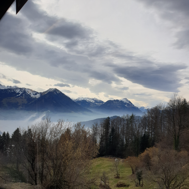 스위스 루체른 리기산 산악열차에서
