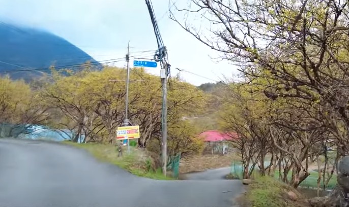 봄 여행지 추천 - 산수유 명소, 3월 여행하기 좋은곳