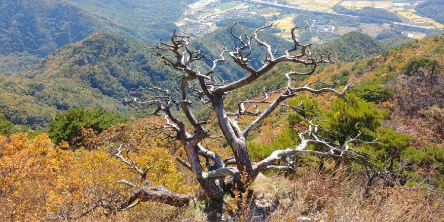 구병산
