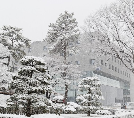 대학교 무이자 학자금 대출 장단점관련 사진