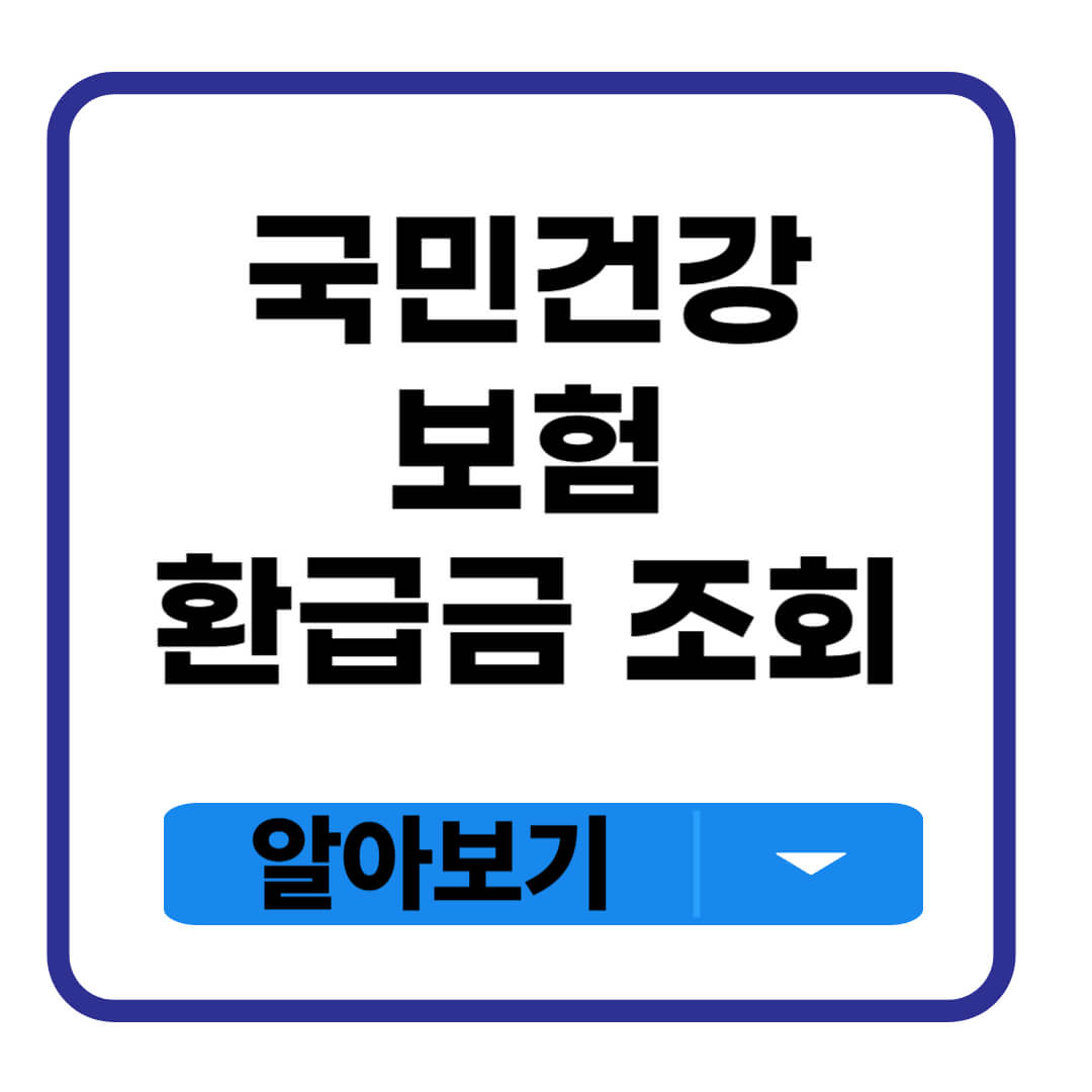 국민건강보험 환급금 조회