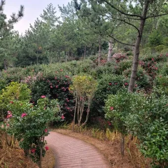 압해도 분재공원 근처 선착장에서의 낚시 농어와 도다리 포인트 소개 완벽 낚시터_13