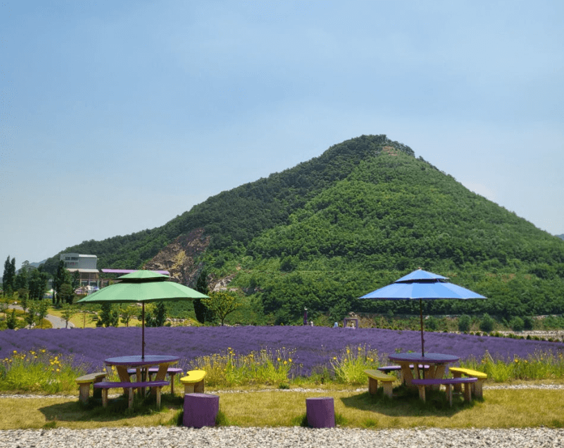 무릉별유천지