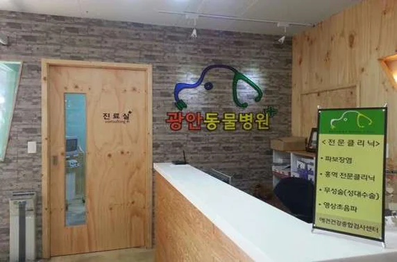 광안동물병원