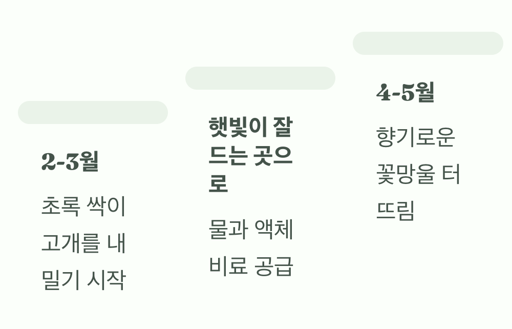 봄, 드디어 마주하는 감격의 순간