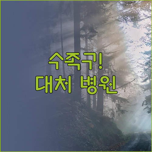 아이 수족구 증상별 대처와 남원시 진..