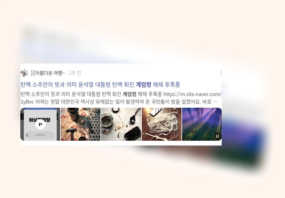 계엄령_3_subsection
