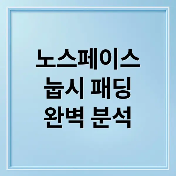 노스페이스 눕시 패딩 가격 구매정보