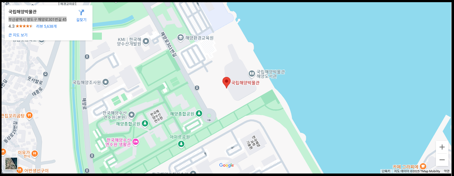 부산항축제