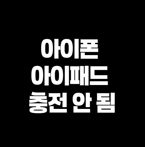 아이폰 아이패드 충전 안 되고 반응 없을 때, 이렇게 해결했어요