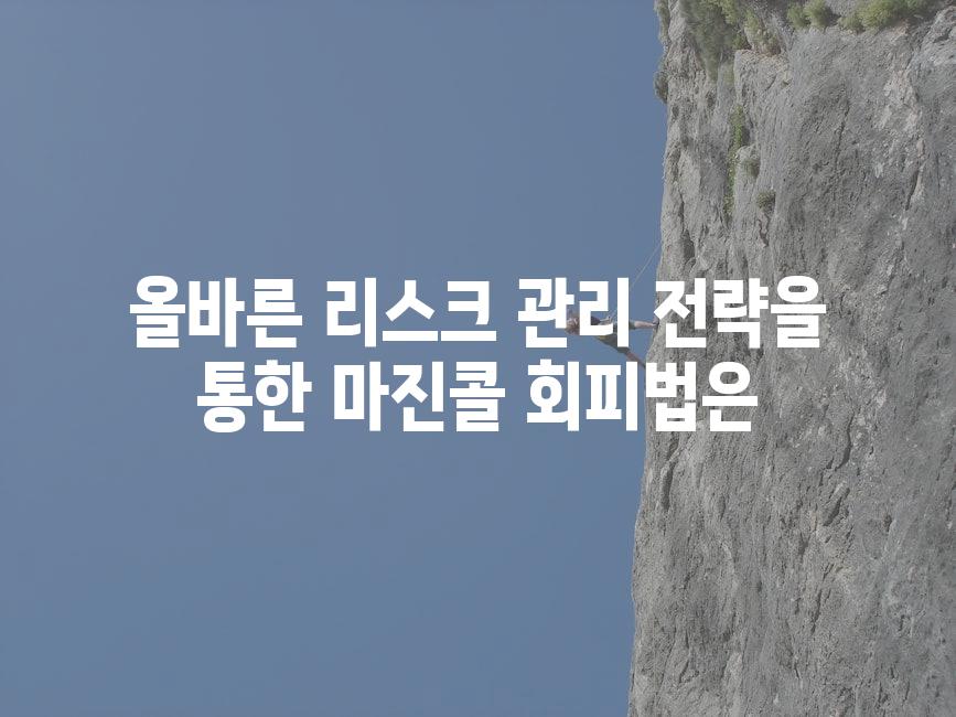 올바른 리스크 관리 전략을 통한 마진콜 회피법은