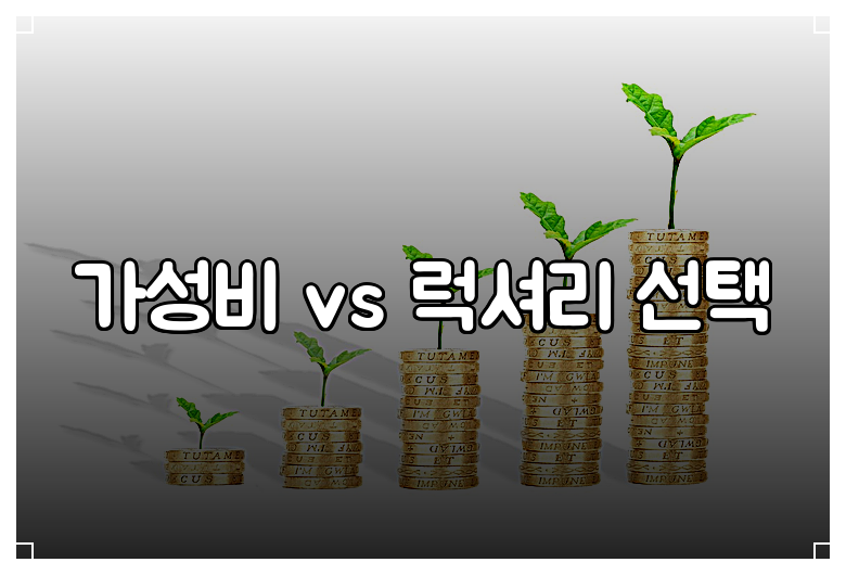 가성비 vs 럭셔리 선택